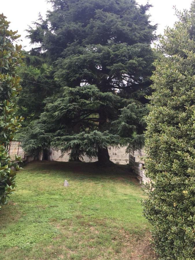 Casa Serena Solonghello Εξωτερικό φωτογραφία